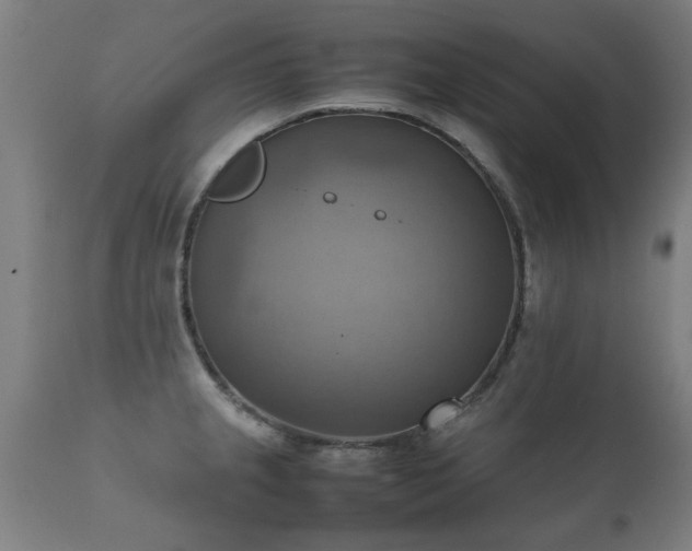 X0000112091237200908111344