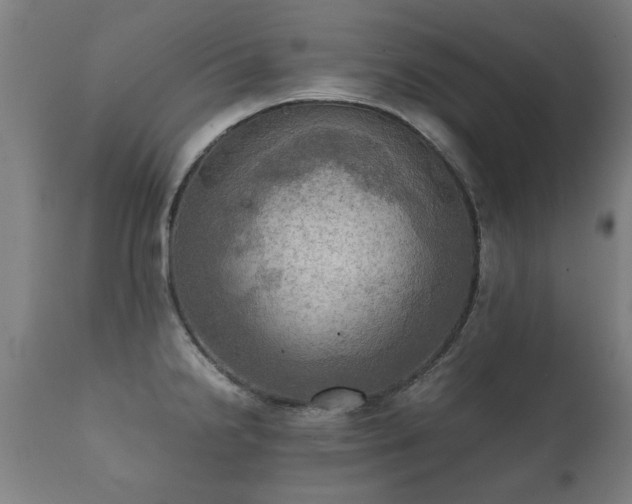 X0000112091238200908111344