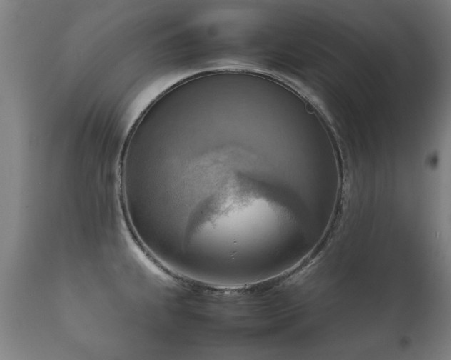 X0000112091239200908111345