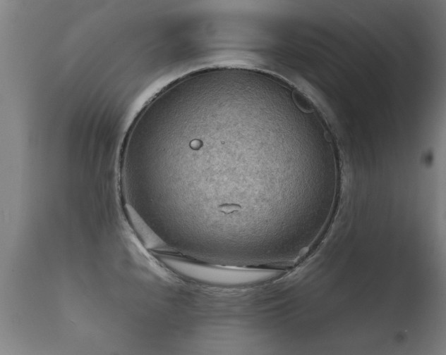 X0000112091240200908111345