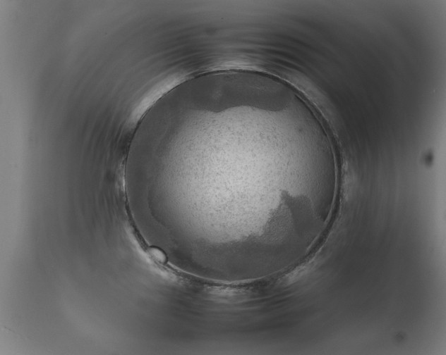 X0000112091241200908111345