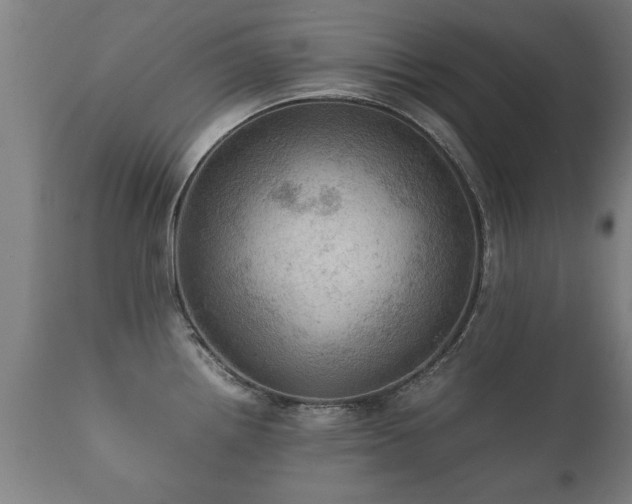 X0000112091242200908111345