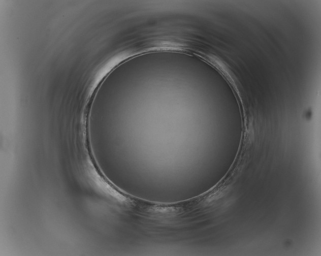 X0000112091243200908111345