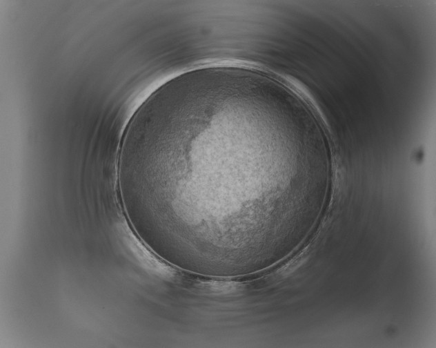 X0000112091244200908111345