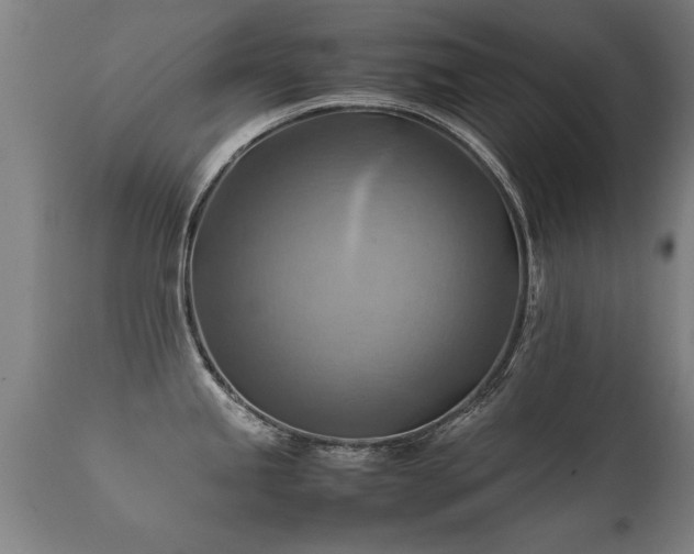 X0000112091245200908111345