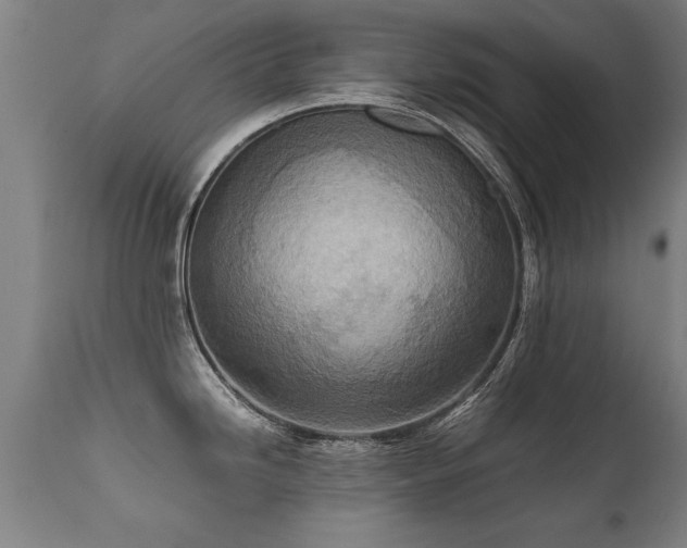 X0000112091246200908111345