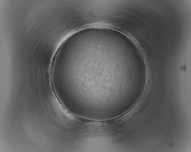 X0000112091248200908111345