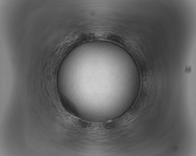 X0000112091249200908111344