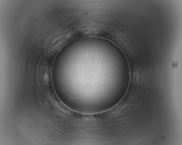 X0000112091250200908111344