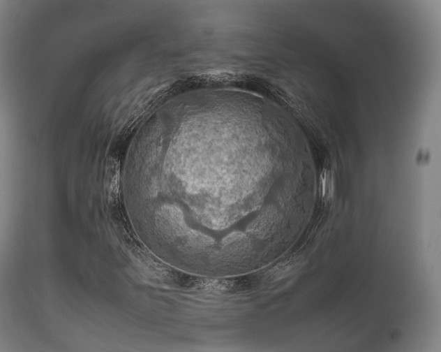 X0000112091251200908111344