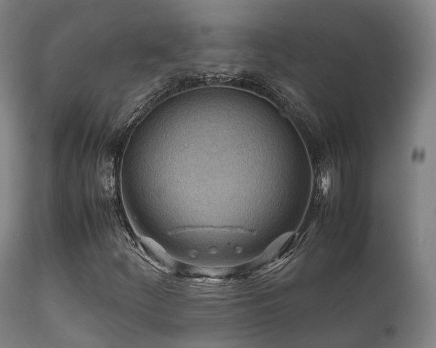 X0000112091252200908111344