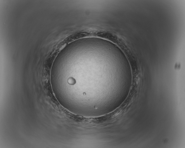 X0000112091253200908111344