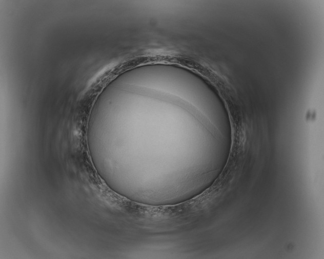 X0000112091254200908111344