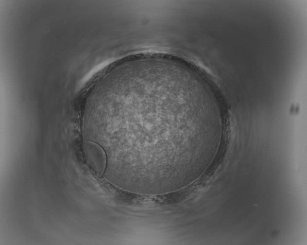 X0000112091255200908111344