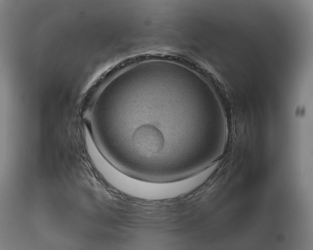 X0000112091256200908111344