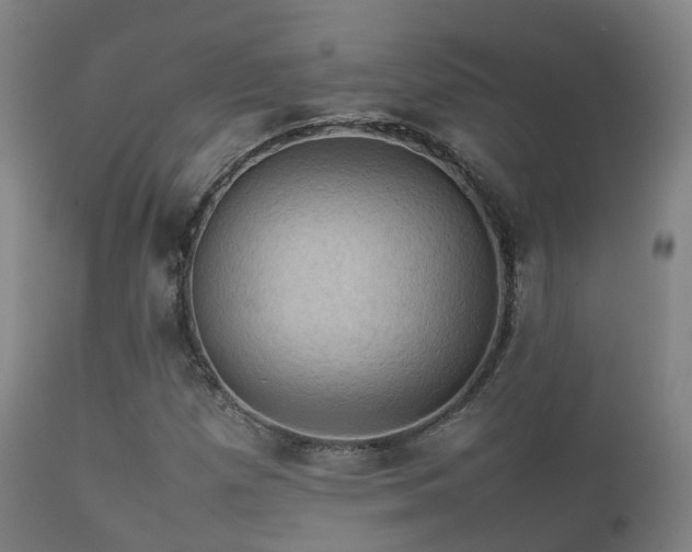 X0000112091257200908111344