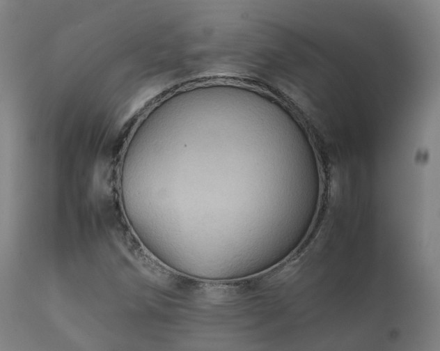 X0000112091258200908111344