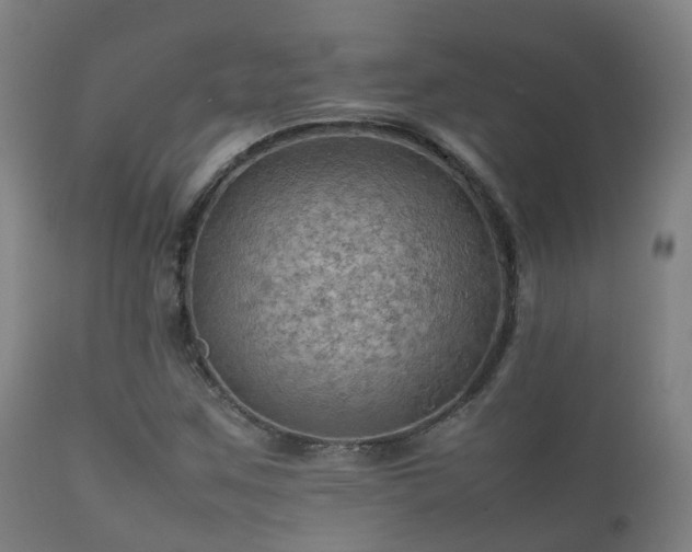 X0000112091259200908111344