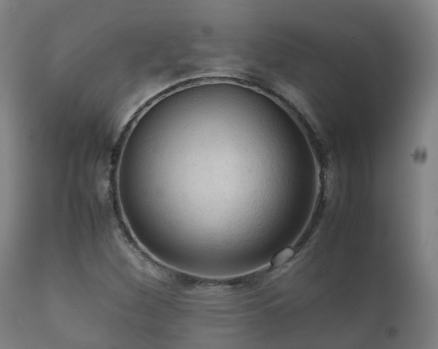 X0000112091260200908111344