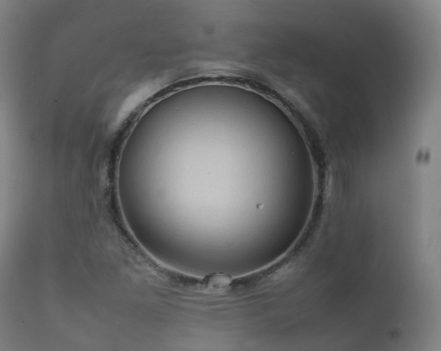 X0000112091261200908111344