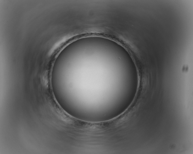 X0000112091262200908111344