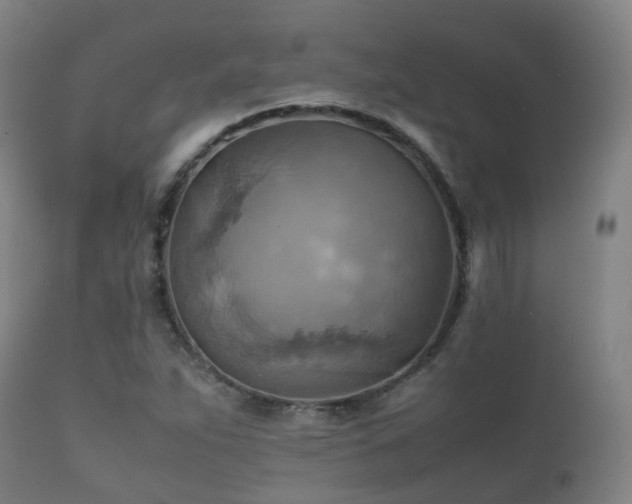 X0000112091263200908111344