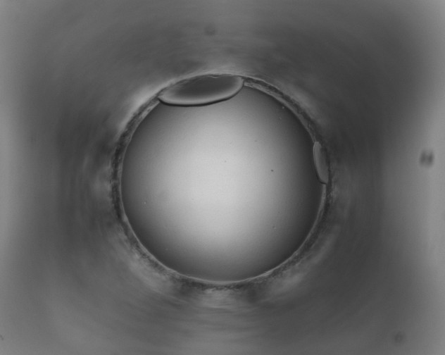 X0000112091264200908111344