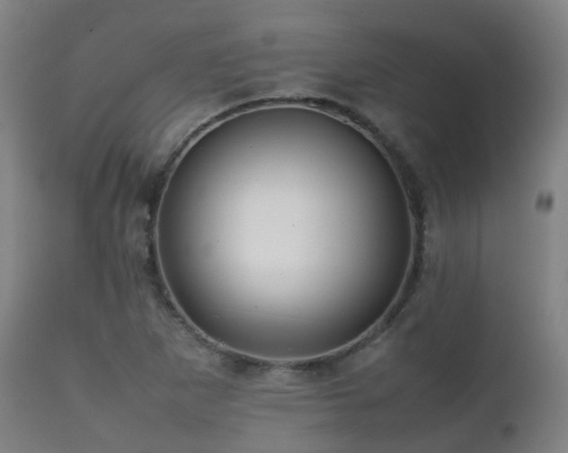 X0000112091265200908111344