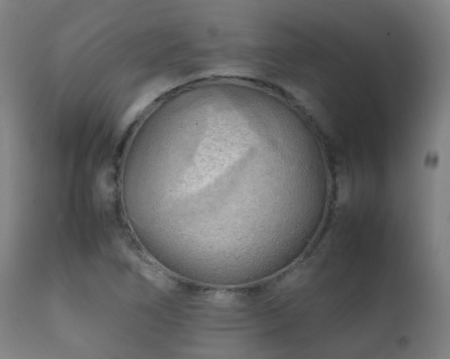 X0000112091266200908111344