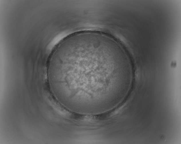 X0000112091267200908111344