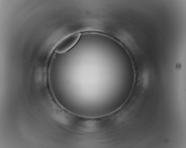 X0000112091268200908111344