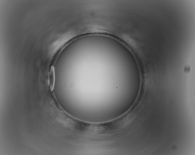 X0000112091269200908111344