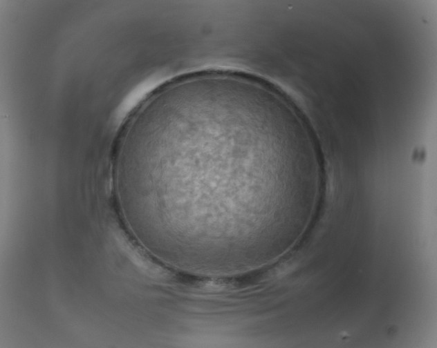 X0000112091271200908111344