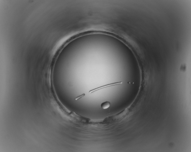 X0000112091272200908111343