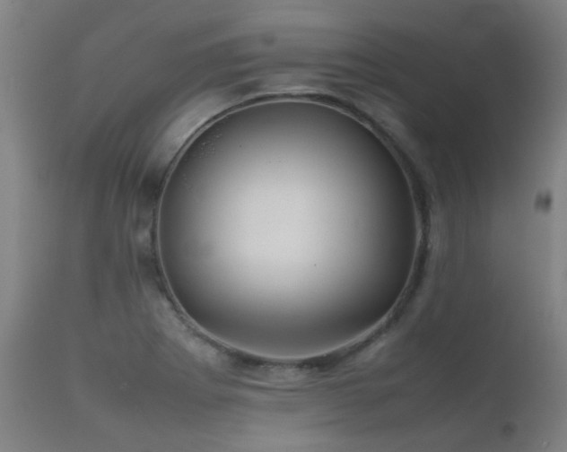 X0000112091273200908111343