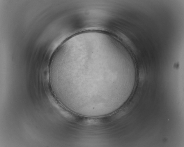 X0000112091274200908111343