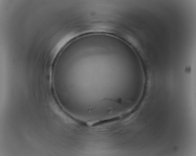 X0000112091275200908111343