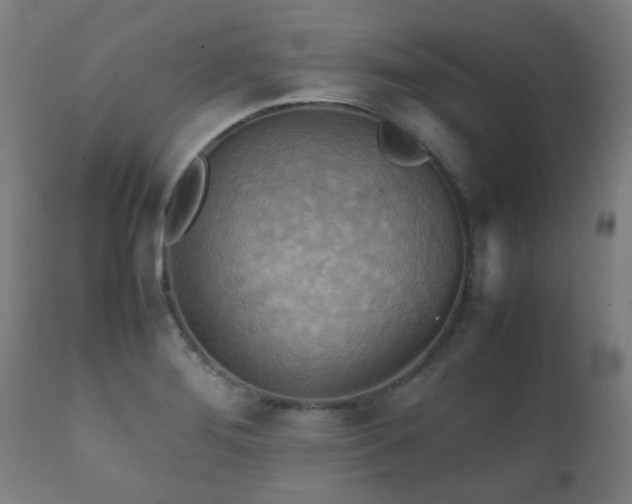 X0000112091276200908111343