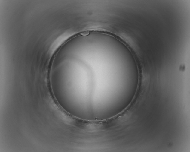 X0000112091277200908111343