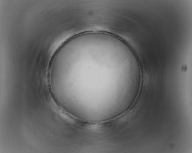 X0000112091278200908111343