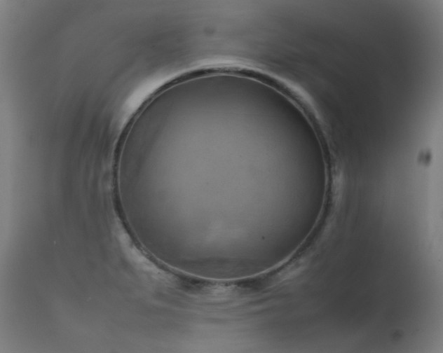 X0000112091279200908111343