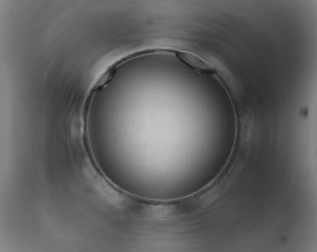 X0000112091280200908111343