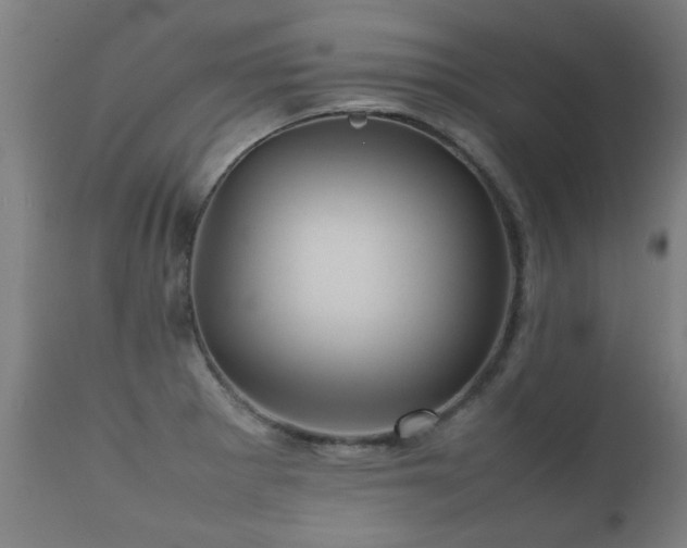 X0000112091281200908111343