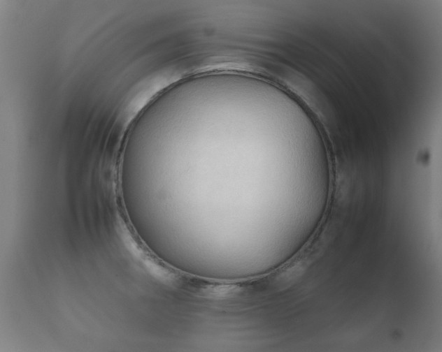 X0000112091282200908111343