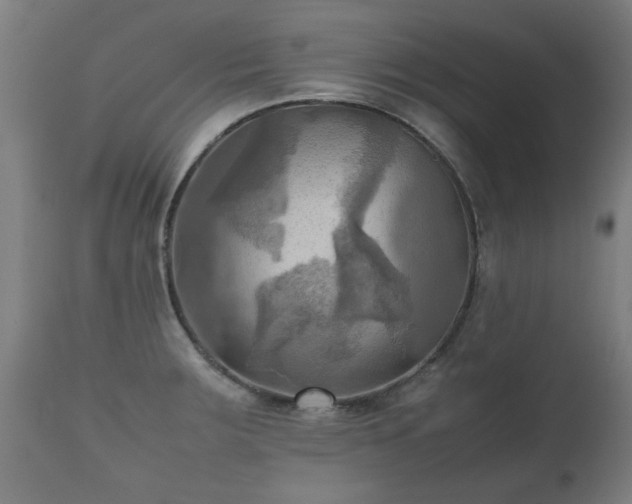 X0000112091283200908111343