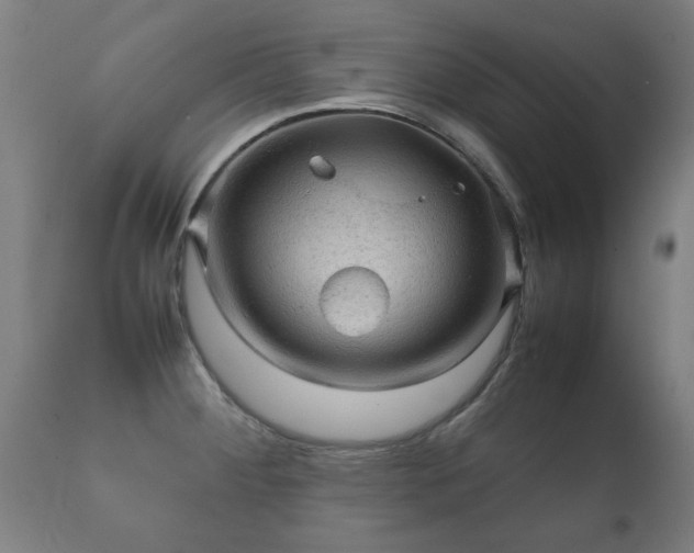 X0000112091284200908111343