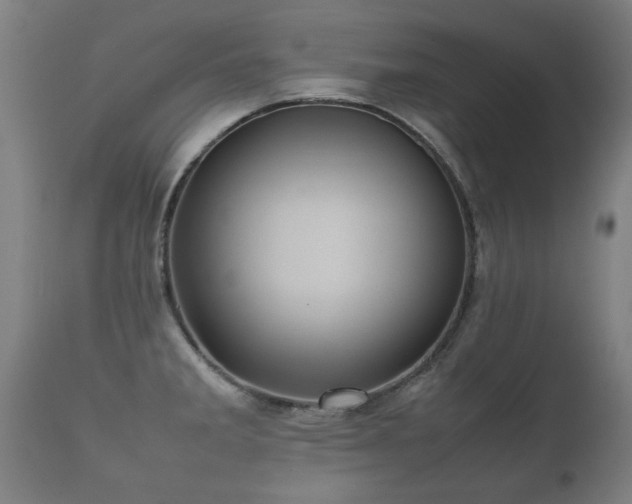 X0000112091285200908111343