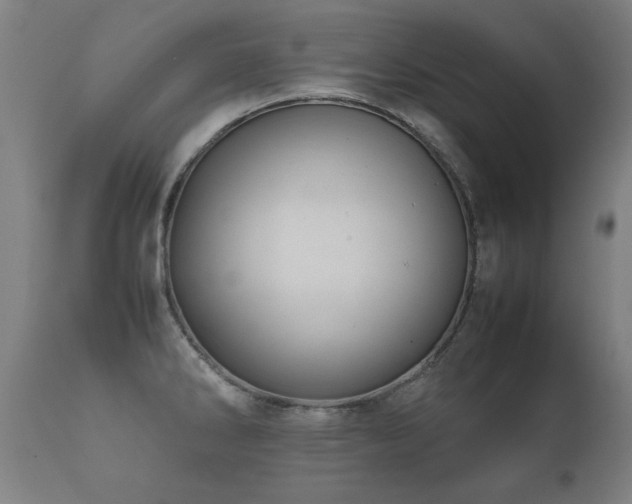 X0000112091286200908111343