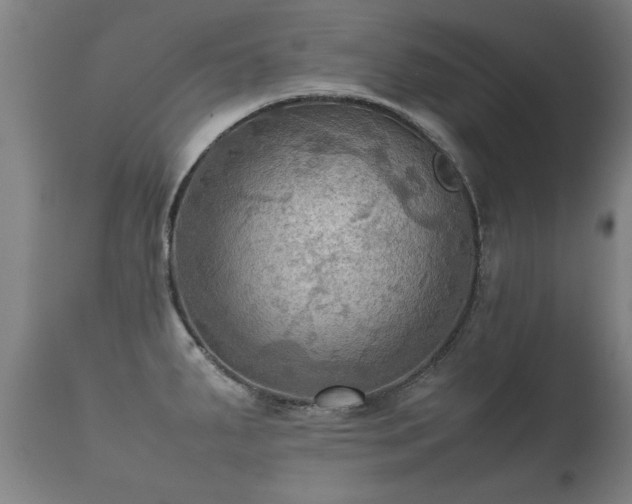 X0000112091287200908111343