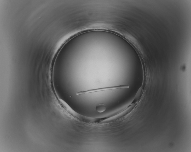 X0000112091288200908111343